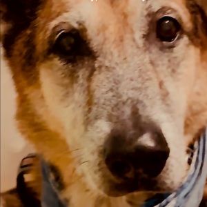 Meet your Posher, Noelle